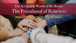 The Priesthood of Believers—Walking in the Authority of God, Part 3